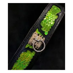 Bestia Hundehalsband Venom
