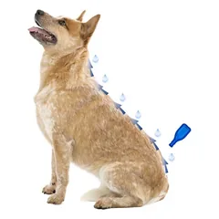 Beaphar Immo Shield Line-on Dog Large 3x4,5 ml parduotuvėje Petz.lt