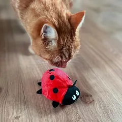 Aumüller žaislas katėms Boružė Dotty, 1 vnt. — 4 nuotrauka