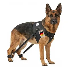 Hundeexpander Rehageschirr für Probleme an den Hinterläufen