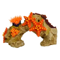 Dekoracija akvariumui Koralas su jūrų žvaigždėmis, 17x10,7x10 cm