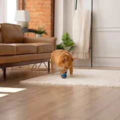 Chuckit! Ultra Ball photo