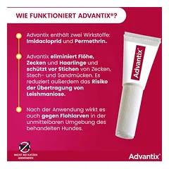 Advantix® 40 Spot-on šunims, iki 4 kg — 4 nuotrauka