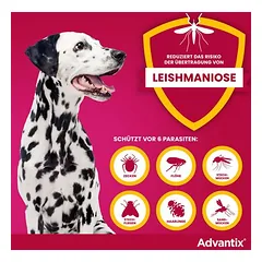Advantix® 600 Spot-on šunims, 40-60 kg — 2 nuotrauka