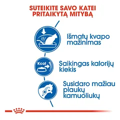 ROYAL CANIN FHN Indoor sausas maistas suaugusioms patalpose gyvenančioms katėms 2 kg — 3 nuotrauka