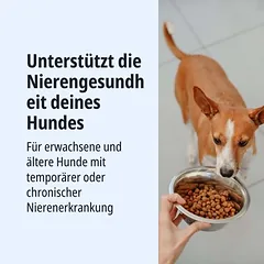 Virbac Veterinary HPM Dog Kidney Support K1, sausas maistas šunims — 2 nuotrauka