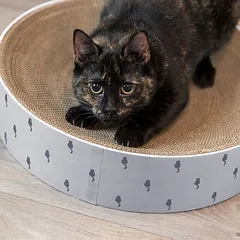 Trixie guolis su draskykle Lilly, Ø 45 x H 10 cm — 3 nuotrauka