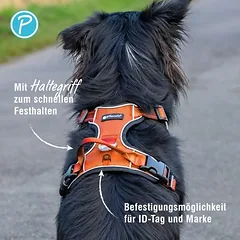 Petlando Outdoor petnešos, oranžinės, Mažiems 5–10 kg — 4 nuotrauka