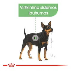 ROYAL CANIN Mini Digestive care sausas maistas mažų veislių šunims, 1 kg — 3 nuotrauka