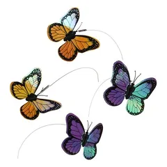 zooplus Exclusive Funny Butterfly atsarginiai drugeliai, 4 vnt. — 2 nuotrauka