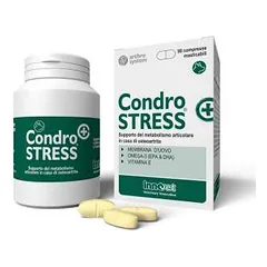 Innovet CondroStress papildas šunims apsaugantis sąnarius, N60