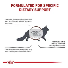 Royal Canin VD Gastrointestinal Fibre Response sausas maistas katėms nuo vidurių užkietėjimo, 4 kg — 3 nuotrauka
