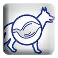 Special Dog Premium Speciality su ėriena ir ryžiais, sausas maistas šunims 4 kg — 2 nuotrauka