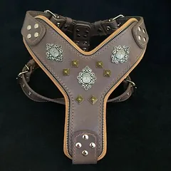Bestia Hundegeschirr Aztec
