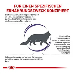 Royal Canin Expert Feline Dental sausas maistas katėms, 3 - 4,9 kg — 2 nuotrauka