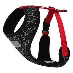 Rukka® Cube Mini Geschirr, rot nuotrauka