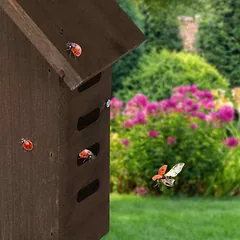 Vabzdžių viešbutis 22,5x17x10cm., rudos spalvos — 5 nuotrauka