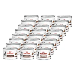 ROYAL CANIN Gastro Intestinal 24x200g skardinė