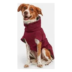Nomad Tales Spirit softshell paltas šunims, bordo, apie 55 cm Nugaros ilgis — 4 nuotrauka