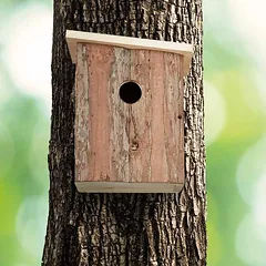 Paukščių inkilas 20x16,5x16,5cm., rudos/šviesiai rudos spalvos — 5 nuotrauka