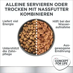 Concept for Life Veterinary Diet Renal su lašiša, drėgnas maistas katėms — 2 nuotrauka