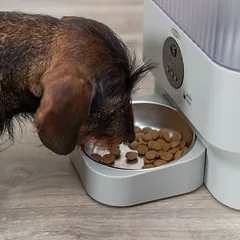 Trixie automatinė šėryklė katėms TX-C Smart, iki 5 l sauso maisto — 3 nuotrauka