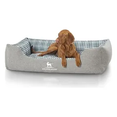 Knuffelwuff guolis šunims Lennard iš velūro, languotas, Mažiems 5–10 kg — 2 nuotrauka