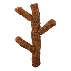 Repti Planet Coco Troncho 80 cm parduotuvėje 1petshop.lt