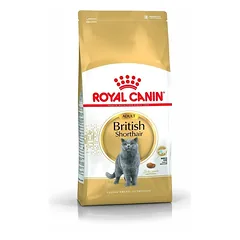 ROYAL CANIN British shorthair 34 4x2 kg sausas maistas suaugusiems katėms, vyresnėms nei 12 mėnesių, britų trumpaplaukės veislės