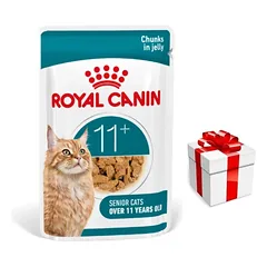 ROYAL CANIN drėgnas kačių maistas, Senior Ageing 11+, želė 12x85g + Staigmena katei