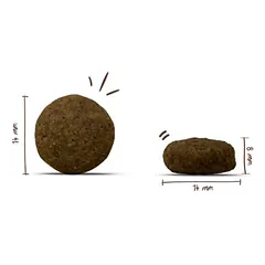 bosch Special Light, sausas maistas šunims, > 10 kg — 3 nuotrauka
