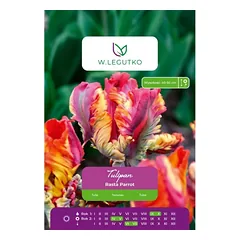 Tulipai Rasta Parrot, 4 vnt.