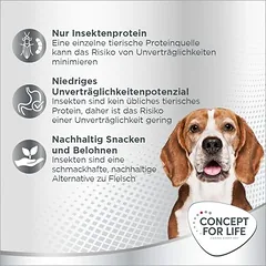 Concept for Life Insect Snack su morkomis, skanėstai šunims — 3 nuotrauka