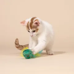 TIAKI Maus mit Katzenminzeball und Federn