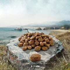 Purizon Original antiena su žuvimi, begrūdis sausas maistas katėms, 5 - 9,9 kg — 2 nuotrauka