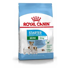 Royal Canin SHN Mini starter 1kg parduotuvėje fera.lt