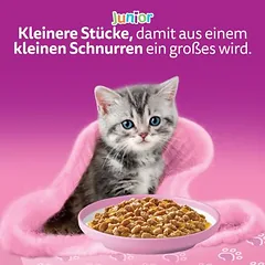 Didelė pakuotė Whiskas Junior paketėliai 84 x 85 g, drėgnas maistas katėms — 5 nuotrauka