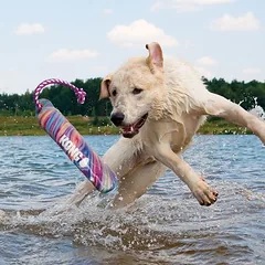 KONG Wild Shieldz Training Dummy Swirl žaislas šunims, Vidutiniams 11–25 kg — 2 nuotrauka