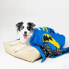 WARNER BROS DC Batman čiužinys šunims, Mažiems 5–10 kg — 5 nuotrauka