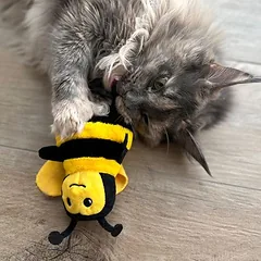Aumüller žaislas katėms Kamanė Maggie su kačiažole, 1 vnt. — 4 nuotrauka