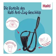 Halti Harness No Pull treniruočių petnešos, oranžinė: dydis XS, pvz., čihuahua — 3 nuotrauka