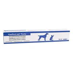 KaoPect vet pasta šunims ir katėms sutrikus virškinimo trakto veiklai 32ml
