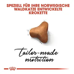 Royal Canin Norvegijos miškų katė Adult sausas maistas katėms, > 10 kg — 3 nuotrauka