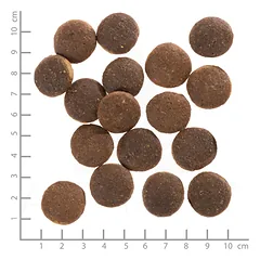 WOLFSBLUT Red Rock Adult sausas maistas suaugusiems alergiškiems šunims su kengūriena ir moliūgais, 2 kg — 4 nuotrauka
