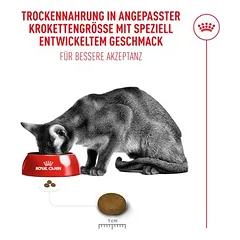 Royal Canin Fussy Exigent sausas maistas katėms, > 10 kg — 3 nuotrauka