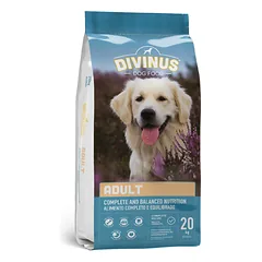 Divinus Adult suaugusiems šunims 20kg 