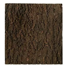 Repti Planet Natural Cork Background 43,5 x 56 x 2 cm