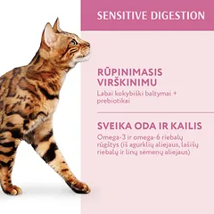 OPTIMEAL™ sausas pašaras suaugusioms katėms su ėriena esant jautriam virškinimui, 4 kg — 2 nuotrauka