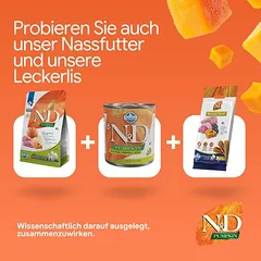 Farmina N&D begrūdis Pumpkin Adult Medium & Maxi su šerniena ir obuoliu, sausas maistas šunims — 4 nuotrauka
