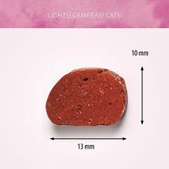 ANTOS Spiced Lamb skanėstai katėms su ėriena 50g — 2 nuotrauka